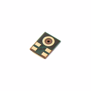 Microphone SAMSUNG S10
