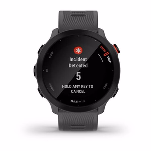 Garmin Forerunner 55 – GPS išmanusis laikrodis, MIP, 42 mm, pilkas