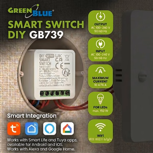 Įleidžiamas „GreenBlue“ WiFi relė, „Android“/„iOS“/„Alexa“/„Google Home“, 100–240 V kintamosios srovės, 50/60 Hz, maks. 16 A, skirtas 150 W LED lempoms, GB739