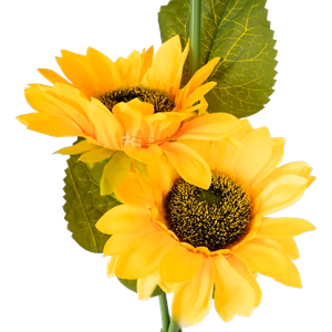 Rebel decorative solar garden light, sunflower