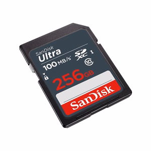 SanDisk SDSDUNR-256G-GN3IN SDXC atminties kortelė, 256 GB, UHS-I