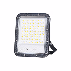 LED prožektorius PROXIM+ 50W 4000K 7500lm 230V IP65 Forever Light 150lm/W, 5 metų garantija