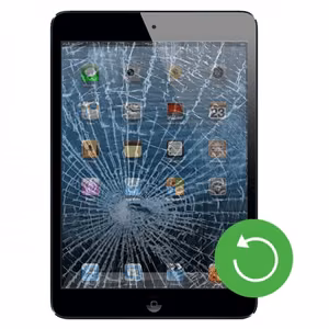 Apple iPad Air 2 Atnaujinimo paslauga