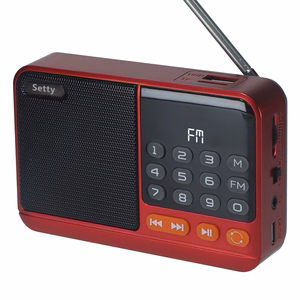 Setty mini FM radio + Bluetooth garsiakalbis SFM-01M