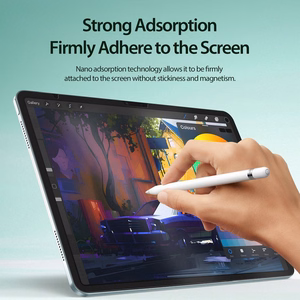 DUX DUCIS apsauginė plėvelė NAAD LCD Paper Like Film (f) skirtas iPad Air 13 (2024)