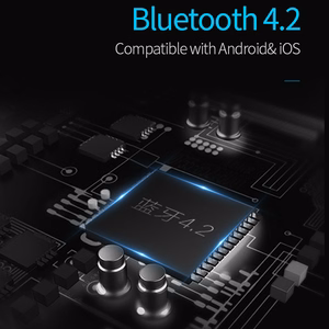 Rock FM transliatorius B300 MP3, Bluetooth - 2xUSB - juodas