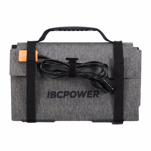 DJI Power 100W sulankstoma saulės panelė