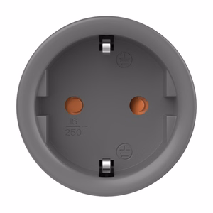 Sonoff S60ZBTPF ZigBee išmanusis kištukinis lizdas
