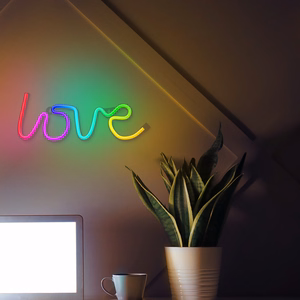 Neoninis LED RGB šviestuvas LOVE FLRN01 + RC Forever Light