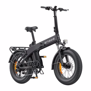 ENGWE EP-2 3.0 BOOST 250W 20" Electric Bike (Black)