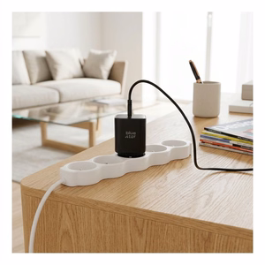 Įkroviklis Blue Star (TFBAVS-60W) USB-C 3A (60W) juodas