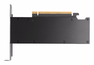 NVIDIA PNY RTX PRO 2000 Blackwell - 16 GB GDDR7 graphics card
