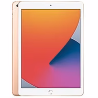 Apple iPad 10.2 (2020)
