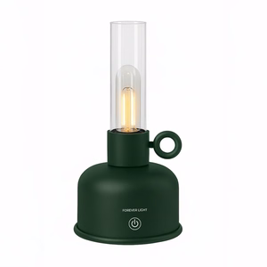 Forever Light Vintage Petroleum LED lempa FLR-04 butelio žalia