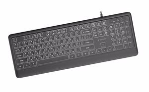 GEMBIRD KB-UML-04-CYRL daugialypės terpės klaviatūra USB, kirilica, juoda