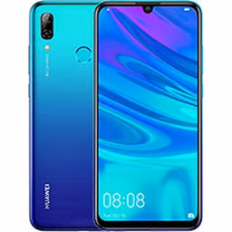 P Smart 2019
