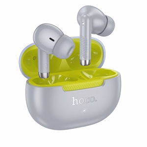 Wireless earphones Hoco TWS EQ24 gray lake