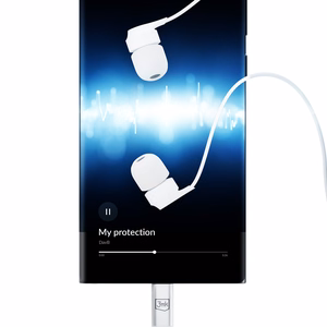Ausinės 3mk Wired Earphones USB-C baltos