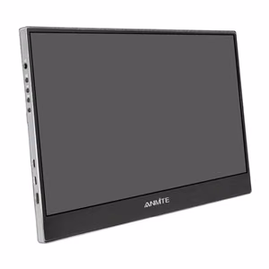 ANMITE A140W04 14" Portable Monitor