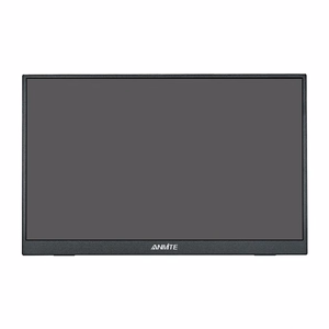 ANMITE A160W04H 16" Portable Monitor