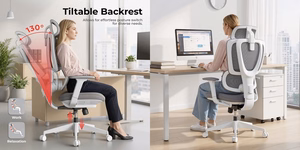 Reguliuojama ergonominė biuro kėdė su galvos ir juosmens atramomis, juoda
