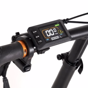 E-BIKE YOUIN TEXAS BLACK FAT 20"