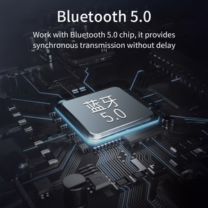 Rock FM transliatorius B301 MP3, Bluetooth - 2xUSB + Type C + micro SD - 36W juodas