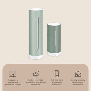 Netatmo NWS-M – išmanioji meteorologinė stotelė, mėtų spalvos