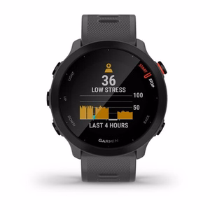 Garmin Forerunner 55 – GPS išmanusis laikrodis, MIP, 42 mm, pilkas