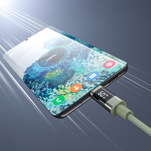 Choetech XCC-1068 PD 60W USB-C — USB-C Кабель с дисплеем 1.2 м — зелёный