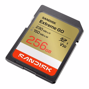 SanDisk Extreme GO 256 GB SDXC UHS-I