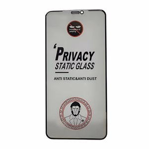 LCD apsauginis stikliukas ESD Anti-Static Privacy Samsung A266 A26 5G