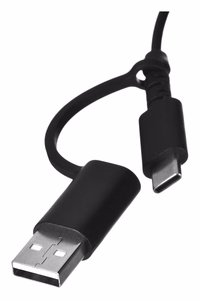 Lenovo 4Y51D20850 pelė ambidekstrinė USB Type-C optinė 2400 DPI
