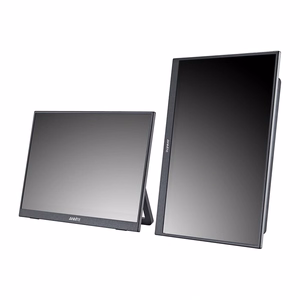 ANMITE A160W24H 16" Portable Monitor
