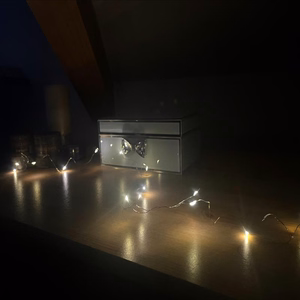 LED WIRE FOR CHRISTMAS DECORATIONS BATTERY-POWERED (50CM)