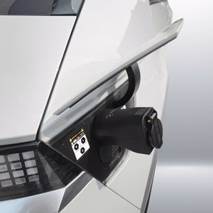 Reach Type 2 V2L adapteris