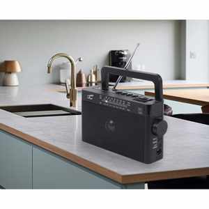 LTC portable radio SONA, Bluetooth, USB, TF, juodas