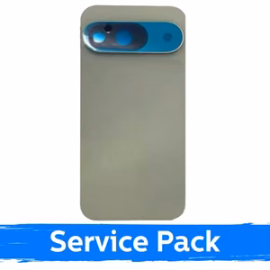 Galinis dangtelis skirtas Google Pixel 9 / Wintergreen / (Service Pack)