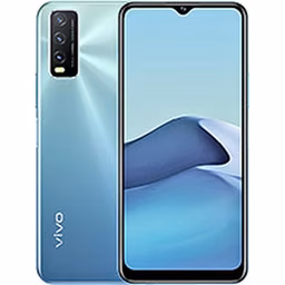 Y20s