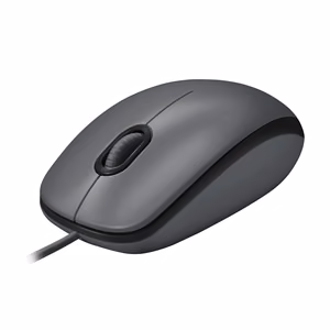 Logitech M100 pelė