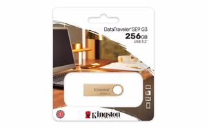 Kingston Technology DataTraveler 256GB 220MB/s metalinis USB 3.2 Gen 1 SE9 G3