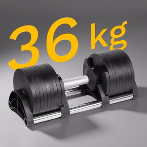 REBEL ACTIVE automatinis ketaus hantelis, 36 kg, 2 kg žingsniai