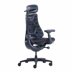LiberNovo Omni 45 cm Ergonomic Chair (Black)