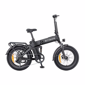 ENGWE PRO 3.0 BOOST 250W 20" Electric Bike (Black)