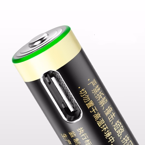 Įkraunamos Orico Ener-G EG5C (AAA) baterijos (4x500mAh)