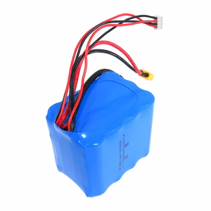 Flytec V030 20,000 mAh baterija