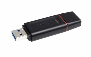 Kingston Technology DataTraveler Exodia USB atmintukas 256 GB USB A tipo 3.2 Gen 1 (3.1 Gen 1) Juoda, Rožinė