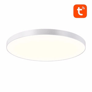 Išmanusis lubinis šviestuvas Gosund LB11, 32cm, WiFi/Bluetooth, 16M RGBCW, 1920lm, Tuya + nuotolinio valdymo pultas