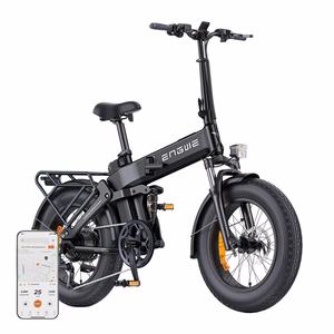 ENGWE PRO 3.0 BOOST 250W 20" Electric Bike (Black)