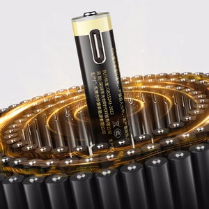 Įkraunamos Orico Ener-G EG5C (AAA) baterijos (2x500mAh)